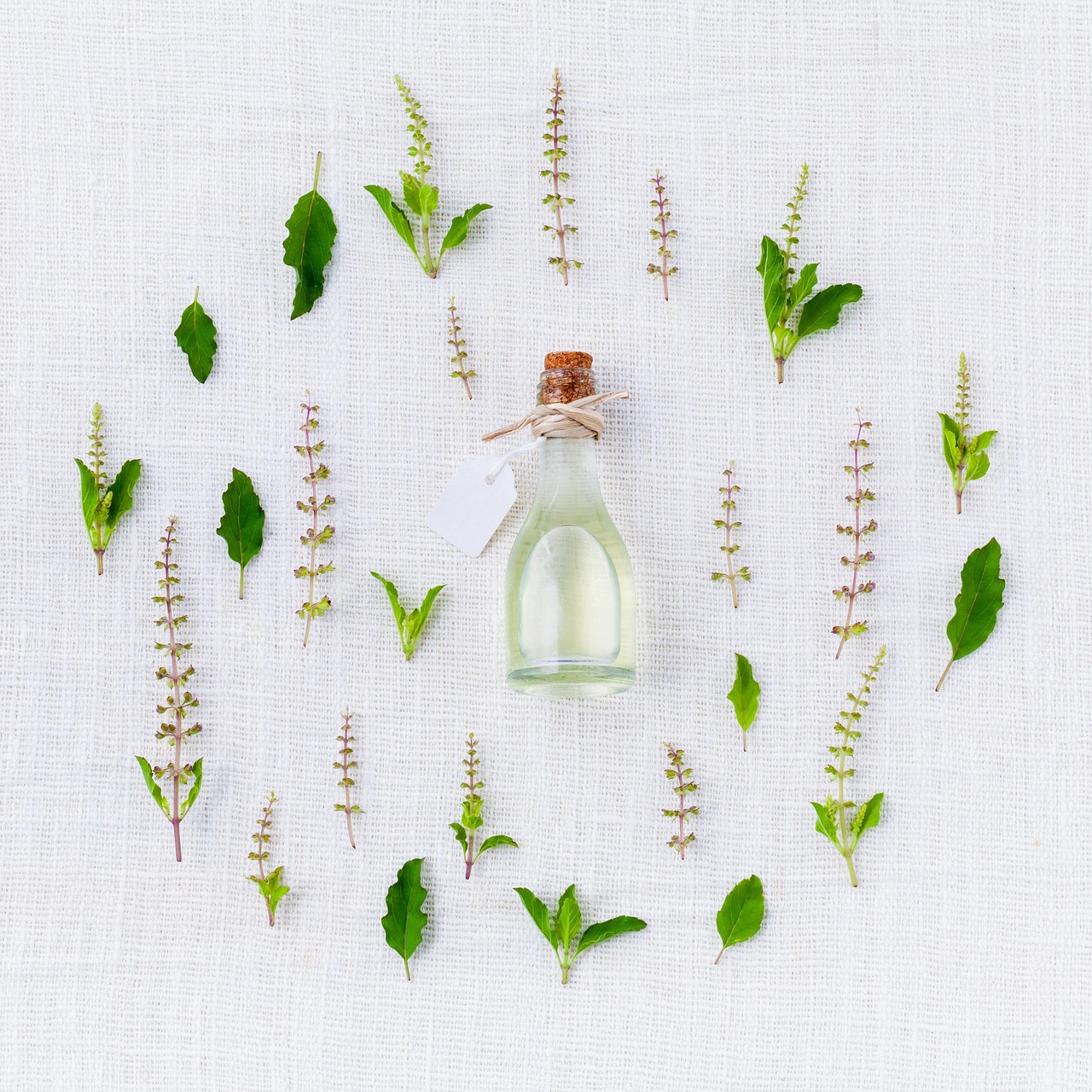 Buying Lilac Oil: The Complete Honest Quality Guide
